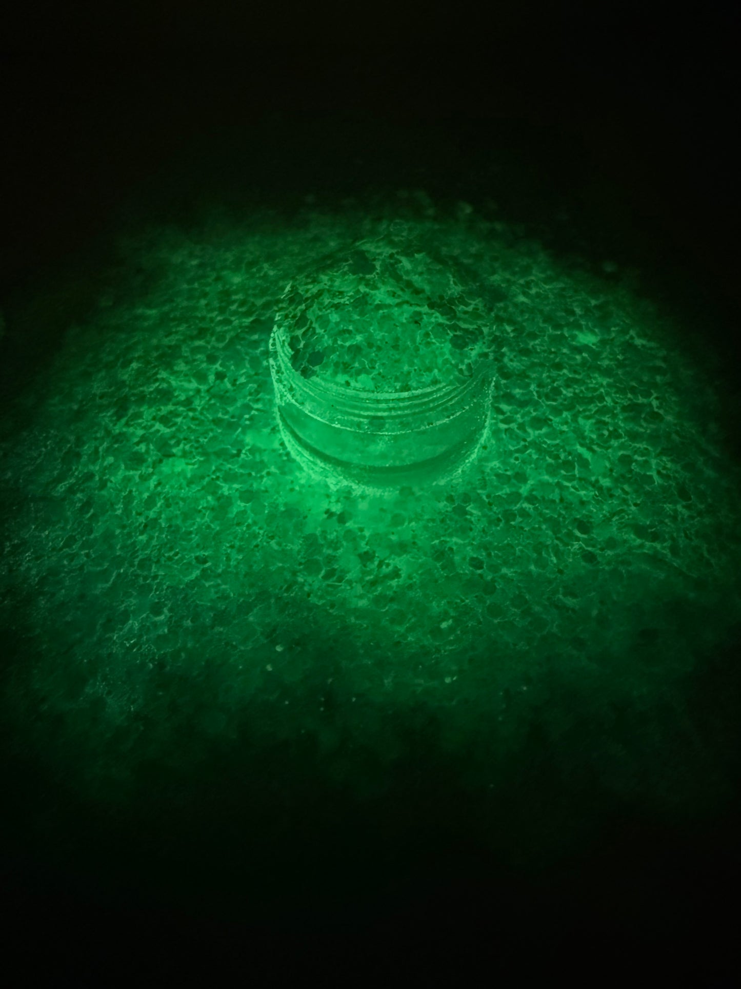 Everglades Glow