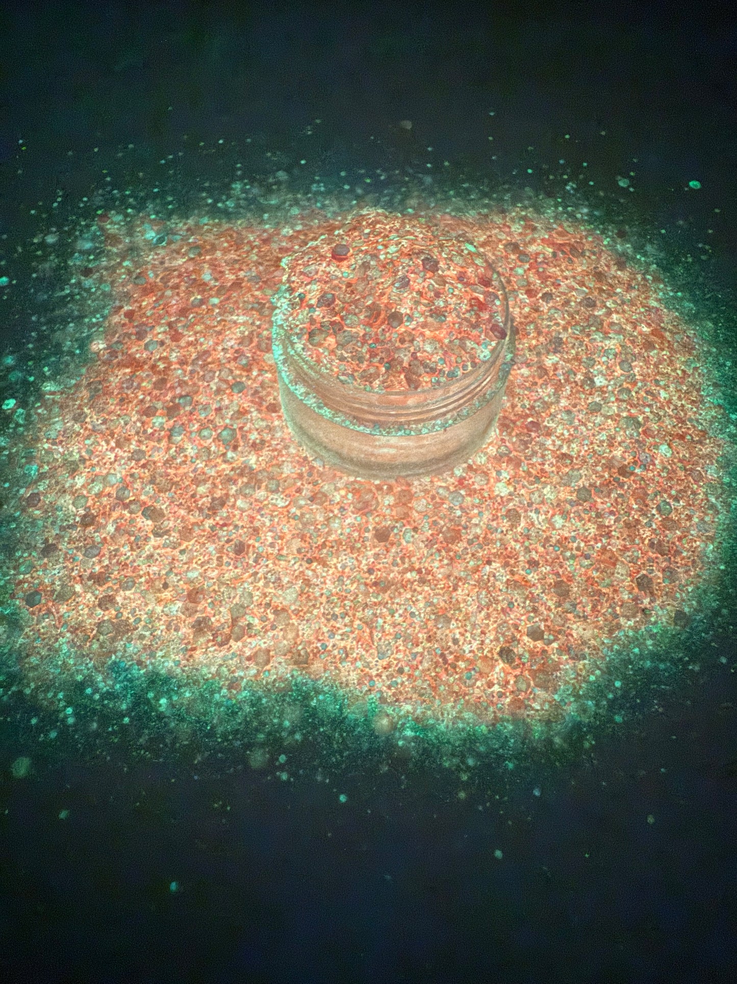 Salmon Spark Glow