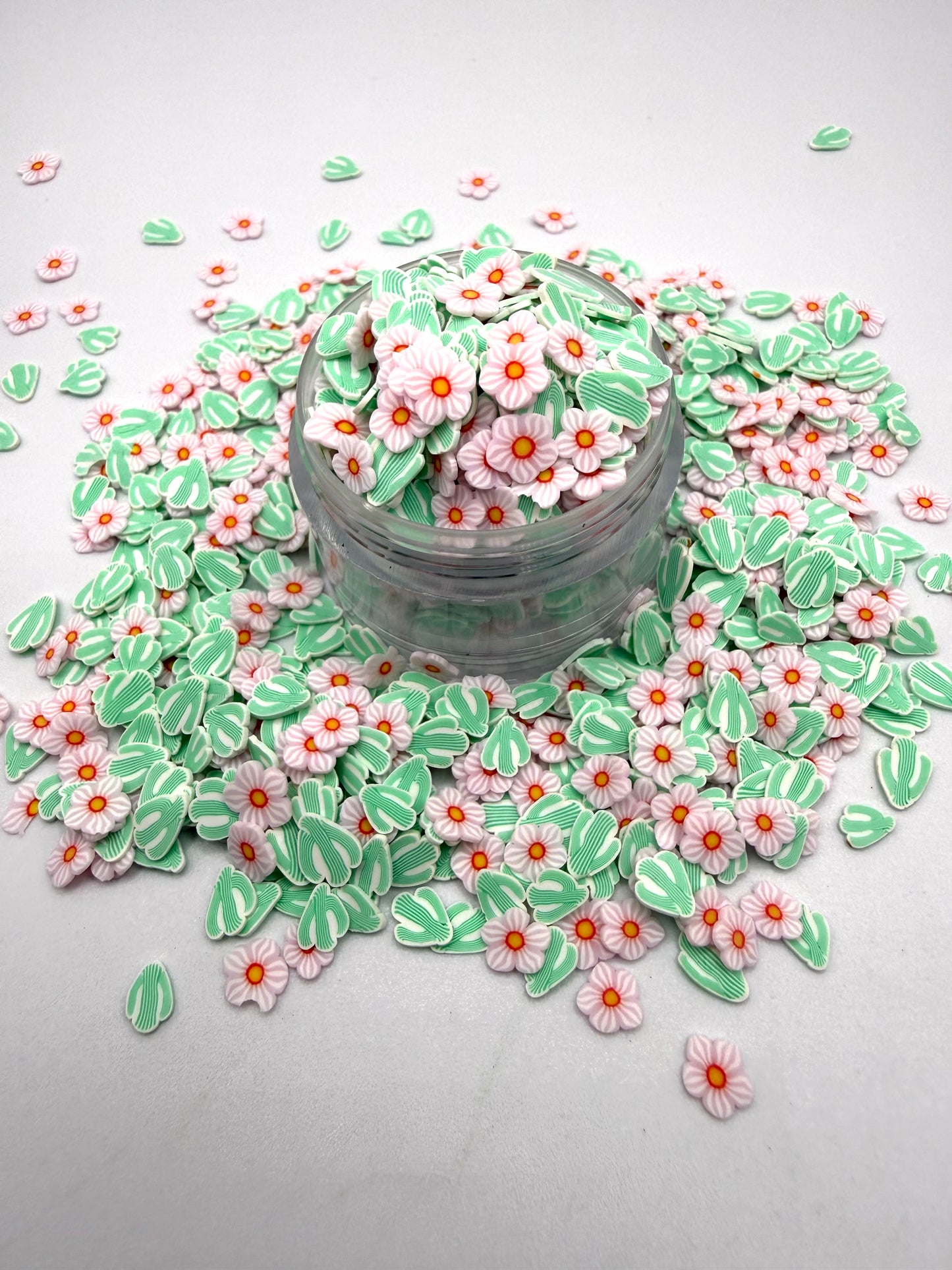 Cactus Blossom